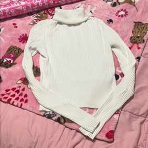 Zara Cream Turtleneck Sweater